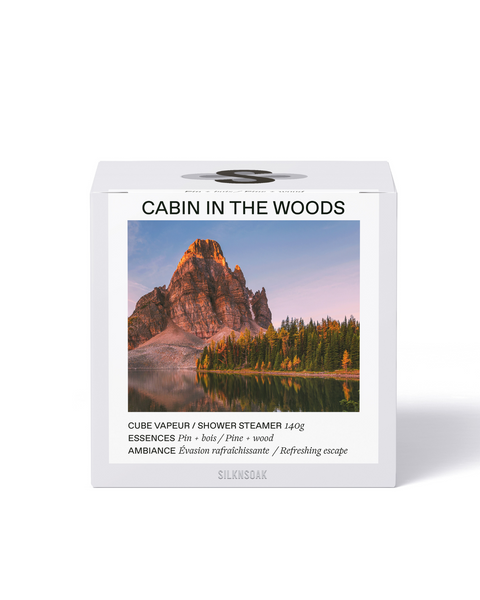 Cabin in the wood